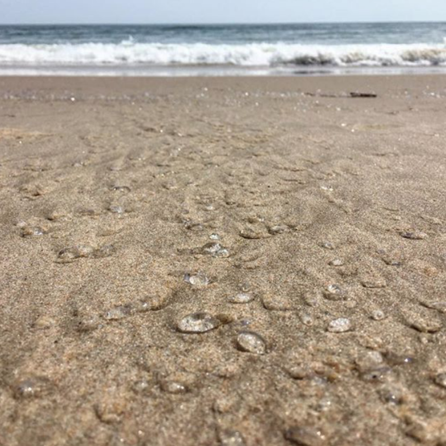 aesthetic photo of the beach