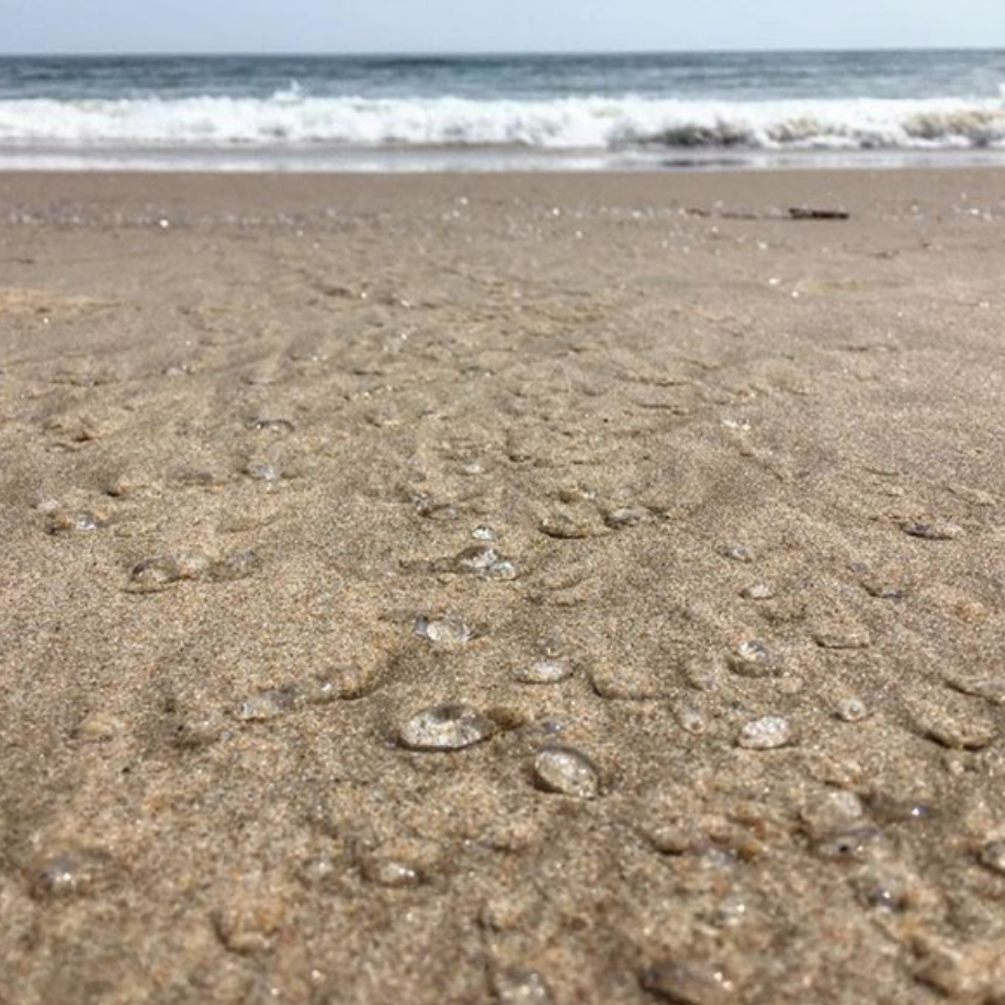 aesthetic photo of the beach 