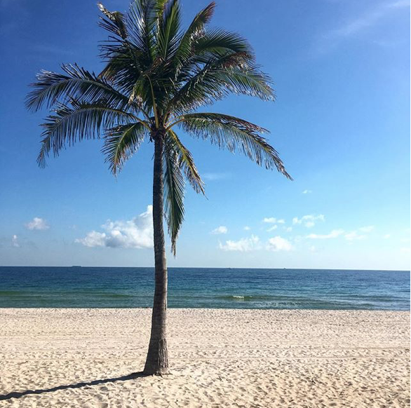 Aesthetic beach photo with soft lighting