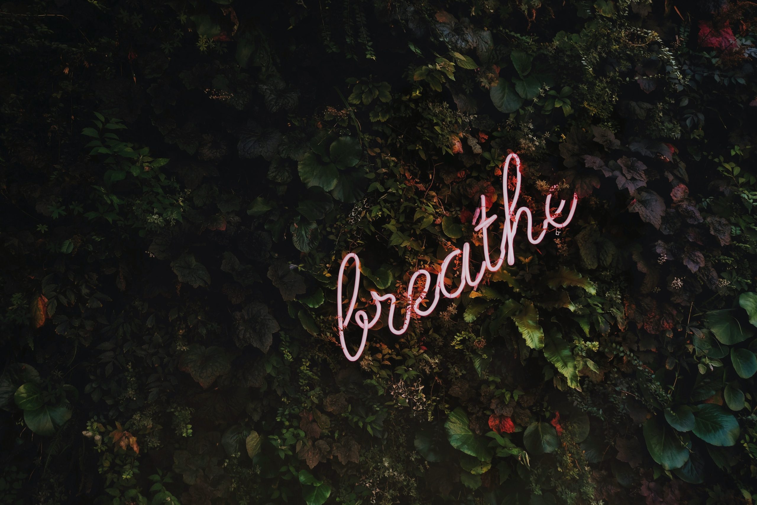 Breathe sign 