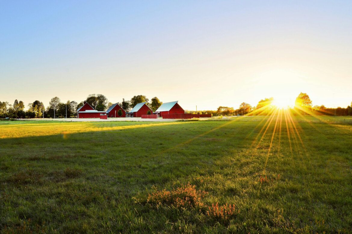 Family-Friendly Camping and Glamping Spots in the UK: Where to Stay for a Memorable Adventure