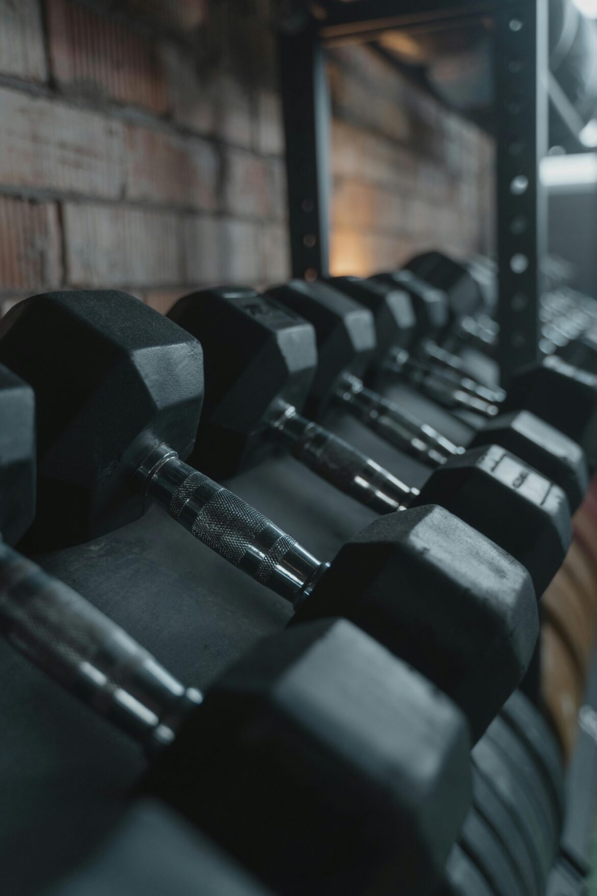 Commercial Gym as a Startup Idea